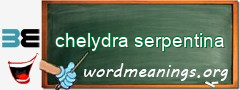WordMeaning blackboard for chelydra serpentina